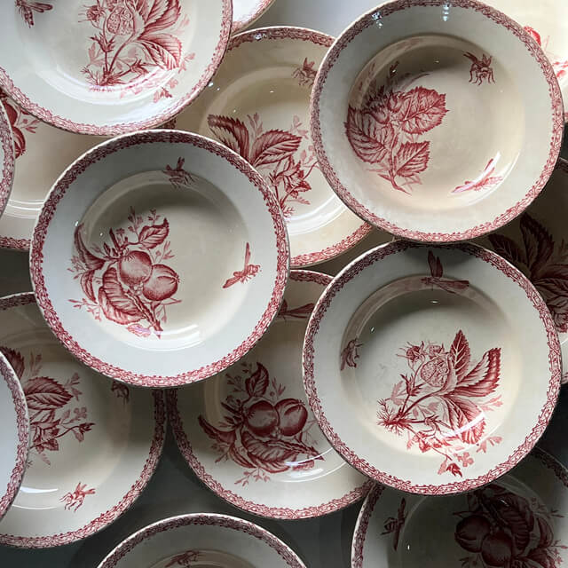 Assiettes creuses fruits et insectes Choisy le Roi