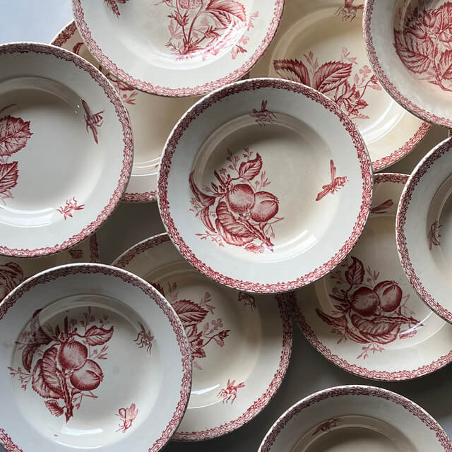 Assiettes creuses fruits et insectes Choisy le Roi – Image 2