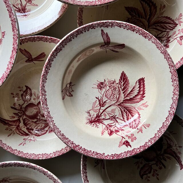 Assiettes creuses fruits et insectes Choisy le Roi – Image 4