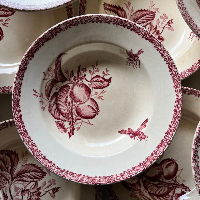 Assiettes creuses fruits et insectes Choisy le Roi – Image 5