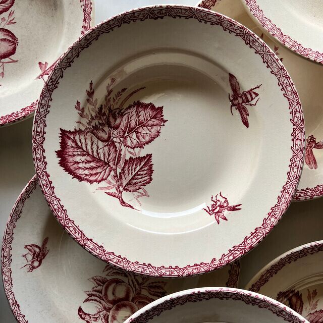 Assiettes creuses fruits et insectes Choisy le Roi – Image 6