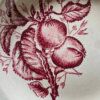 Assiettes creuses fruits et insectes Choisy le Roi – Image 11