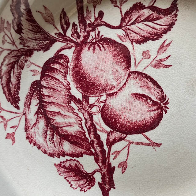 Assiettes creuses fruits et insectes Choisy le Roi – Image 11