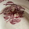 Assiettes creuses fruits et insectes Choisy le Roi – Image 12