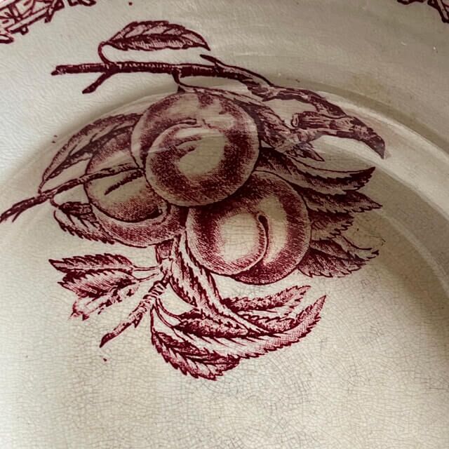 Assiettes creuses fruits et insectes Choisy le Roi – Image 12