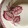 Assiettes creuses fruits et insectes Choisy le Roi – Image 13