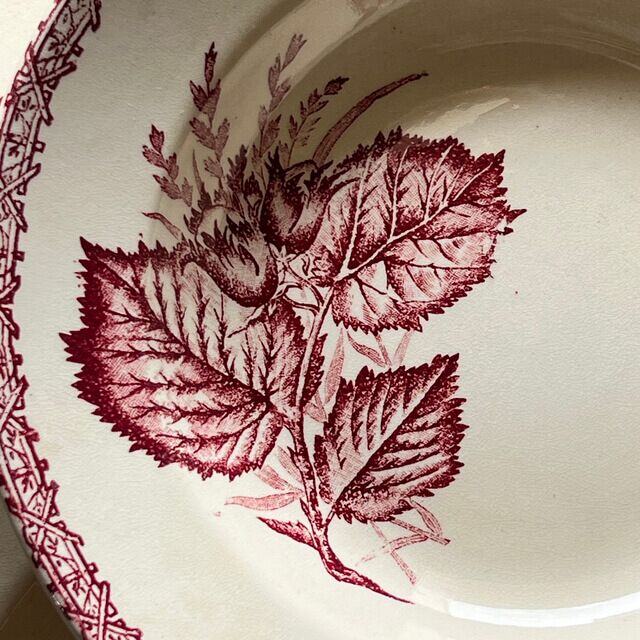 Assiettes creuses fruits et insectes Choisy le Roi – Image 13
