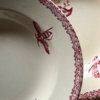 Assiettes creuses fruits et insectes Choisy le Roi – Image 14