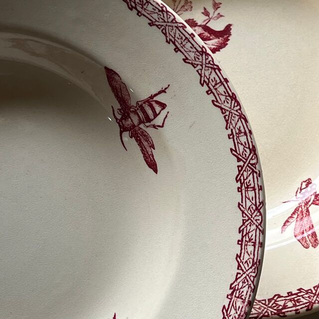 Assiettes creuses fruits et insectes Choisy le Roi – Image 14