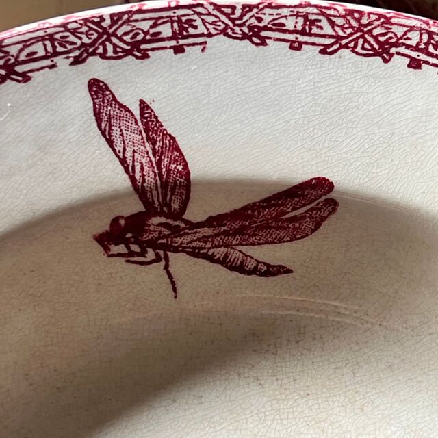 Assiettes creuses fruits et insectes Choisy le Roi – Image 15