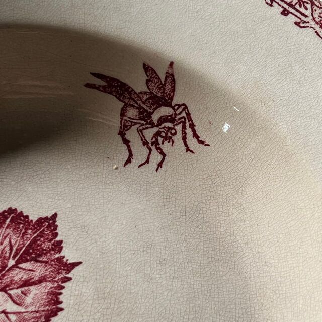 Assiettes creuses fruits et insectes Choisy le Roi – Image 16