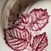 Assiettes creuses fruits et insectes Choisy le Roi – Image 17