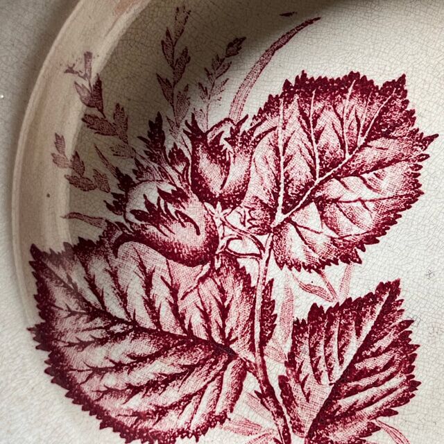 Assiettes creuses fruits et insectes Choisy le Roi – Image 17