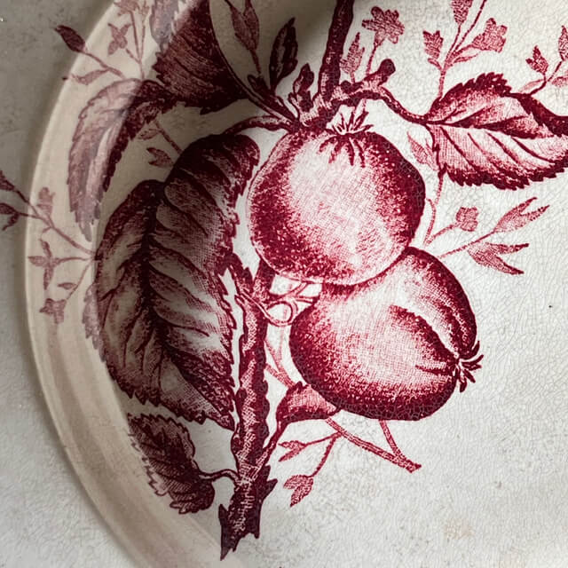 Assiettes creuses fruits et insectes Choisy le Roi – Image 18