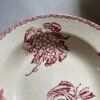 Assiettes creuses fruits et insectes Choisy le Roi – Image 21